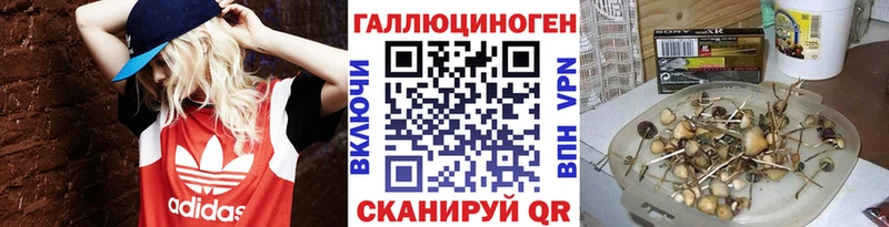 купить закладку  Печора  гидра   Галлюциногенные грибы GOLDEN TEACHER 